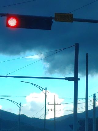 숲속의사나이님의 자유주제 · 자유게시판 작성글 사진