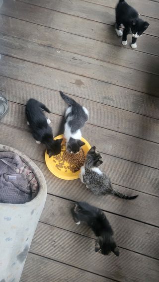 Kbd1961님의 자유주제 · 자유게시판 작성글 사진