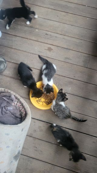 Kbd1961님의 자유주제 · 자유게시판 작성글 사진