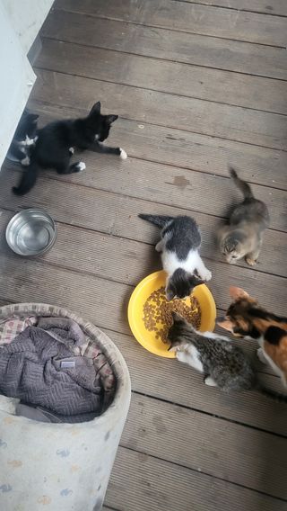 Kbd1961님의 자유주제 · 자유게시판 작성글 사진