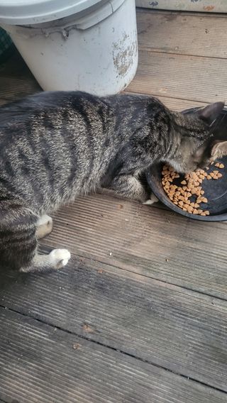 Kbd1961님의 자유주제 · 자유게시판 작성글 사진