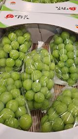 팜모닝 포도·영농일지 게시글 이미지