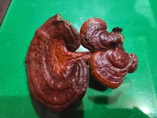 박전규님의 자유주제 · 자유게시판 작성글 사진