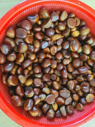 박전규님의 자유주제 · 자유게시판 작성글 사진