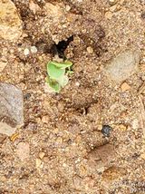 팜모닝 자유주제·자유게시판 게시글 이미지