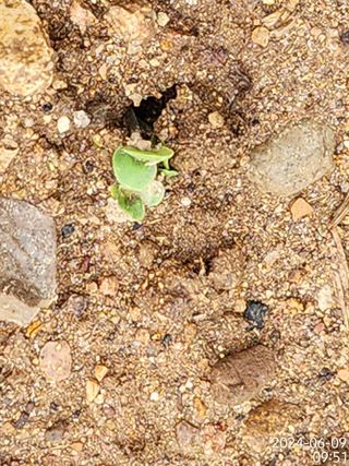 정병무님의 자유주제 · 자유게시판 작성글 사진