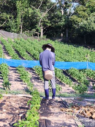정병무님의 자유주제 · 자유게시판 작성글 사진