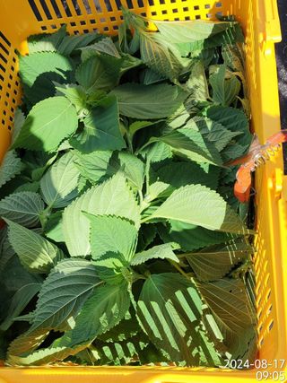 정병무님의 자유주제 · 자유게시판 작성글 사진