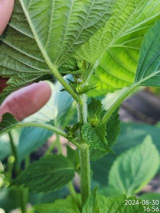 정병무님의 자유주제 · 자유게시판 작성글 사진