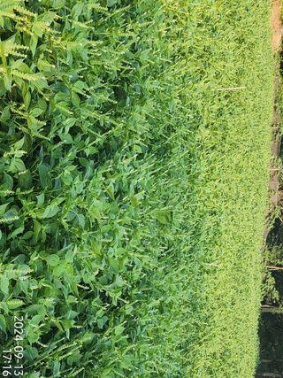 정병무님의 자유주제 · 자유게시판 작성글 사진