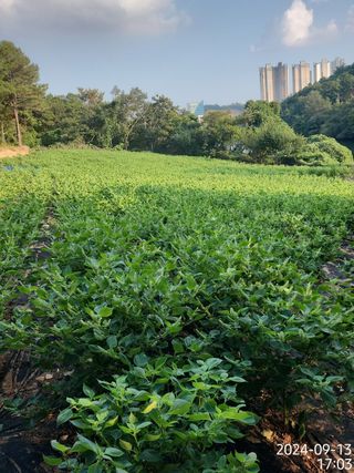 정병무님의 자유주제 · 자유게시판 작성글 사진