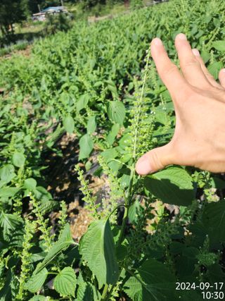 정병무님의 자유주제 · 자유게시판 작성글 사진