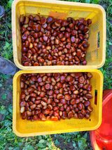 팜모닝 · 게시글 이미지