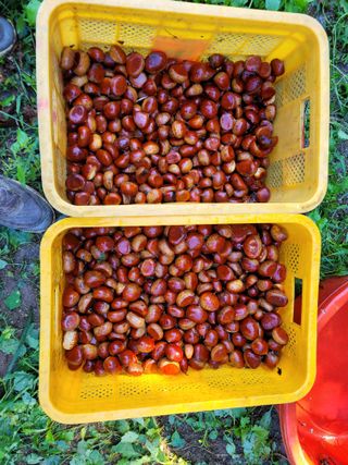 독고다이님의 작성글 사진