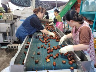 독고다이님의 작성글 사진