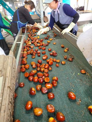 독고다이님의 작성글 사진