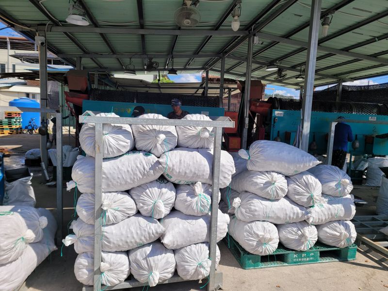 독고다이님의 장터 판매 상품 [햇밤] 첨부 사진