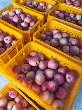 하늘아래사과나무님의 작성글 사진