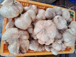 김상호님의 자유주제 · 자유게시판 작성글 사진