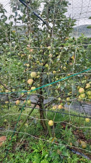 임곡농장김향중님의 자유주제 · 자유게시판 작성글 사진