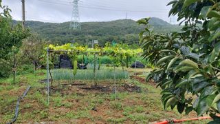 임곡농장김향중님의 자유주제 · 자유게시판 작성글 사진