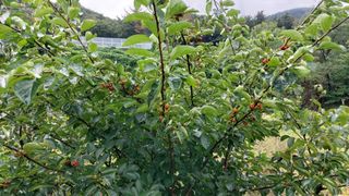 임곡농장김향중님의 자유주제 · 자유게시판 작성글 사진