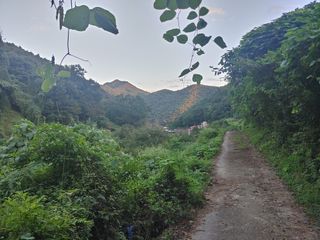 이현상님의 자유주제 · 자유게시판 작성글 사진