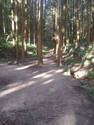 이현상님의 자유주제 · 자유게시판 작성글 사진