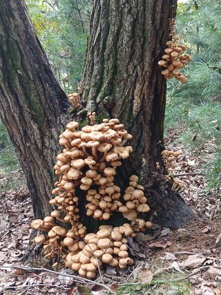 이현상님의 자유주제 · 자유게시판 작성글 사진