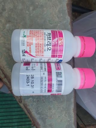 반시님의 자유주제 · 자유게시판 작성글 사진