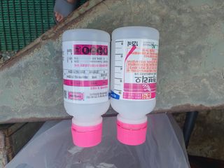 반시님의 자유주제 · 자유게시판 작성글 사진