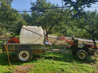 반시님의 자유주제 · 자유게시판 작성글 사진