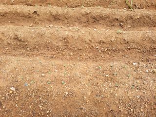 너만아라님의 팜모닝 · 출석 작성글 사진