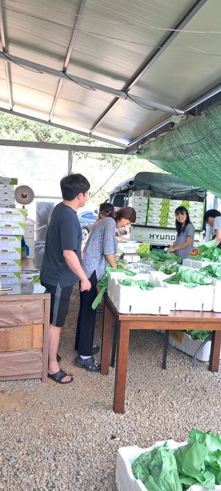 윤세열님의 포도 · 영농일지 작성글 사진