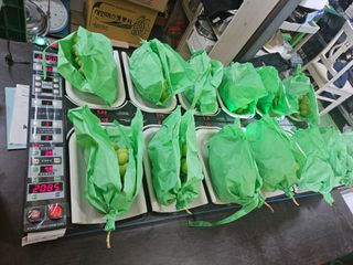 파수꾼(김성호)님의 포도 · 영농일지 작성글 사진