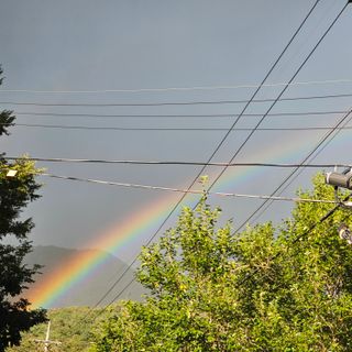 백용기님의 자유주제 · 자유게시판 작성글 사진