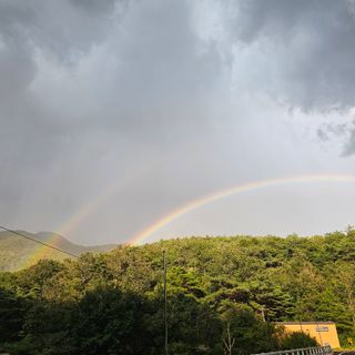 백용기님의 자유주제 · 자유게시판 작성글 사진