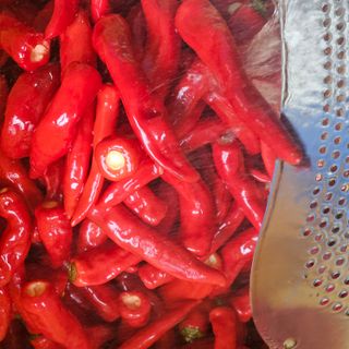 백용기님의 자유주제 · 자유게시판 작성글 사진