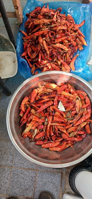 손성금님의 고추 · 영농일지 작성글 사진