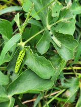 팜모닝 자유주제·자유게시판 게시글 이미지