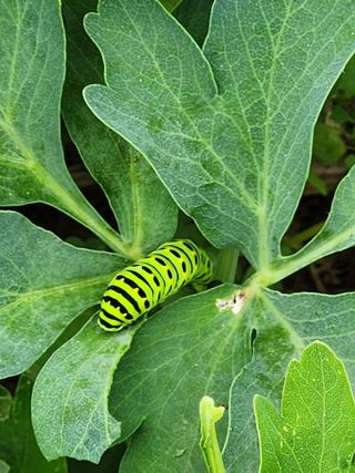 귤13698님의 자유주제 · 자유게시판 작성글 사진