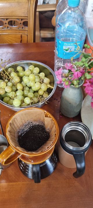 전상조님의 포도 · 영농일지 작성글 사진