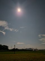 팜모닝 한가위, 덕담을 나눠주세요·참여글 게시글 이미지