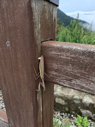 신현덕님의 자유주제 · 자유게시판 작성글 사진