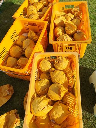 하나라도 소중하게님의 배 · 수확 작성글 사진