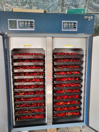 장두학님의 고추 · 영농일지 작성글 사진