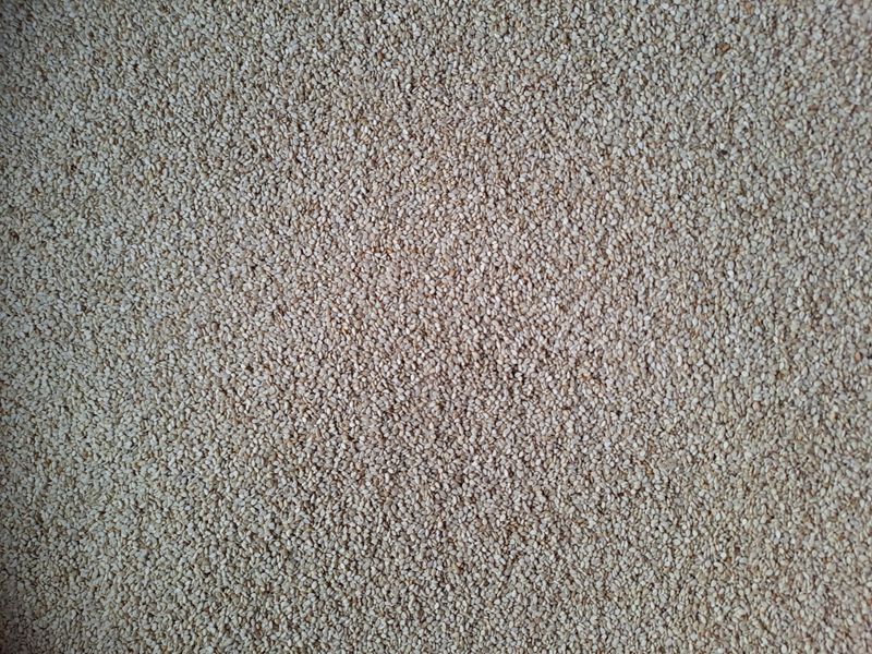 장터 상품 [토종참깨 1키로] 썸네일