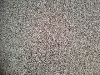 아리맘님의 작성글 사진