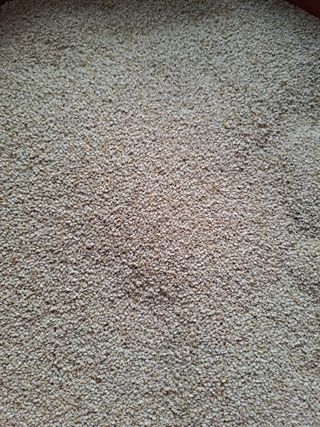 아리맘님의 작성글 사진