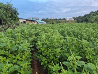 남종희님의 자유주제 · 자유게시판 작성글 사진